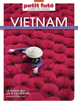 cover image of Guide Vietnam 2025 Carnet Petit Futé